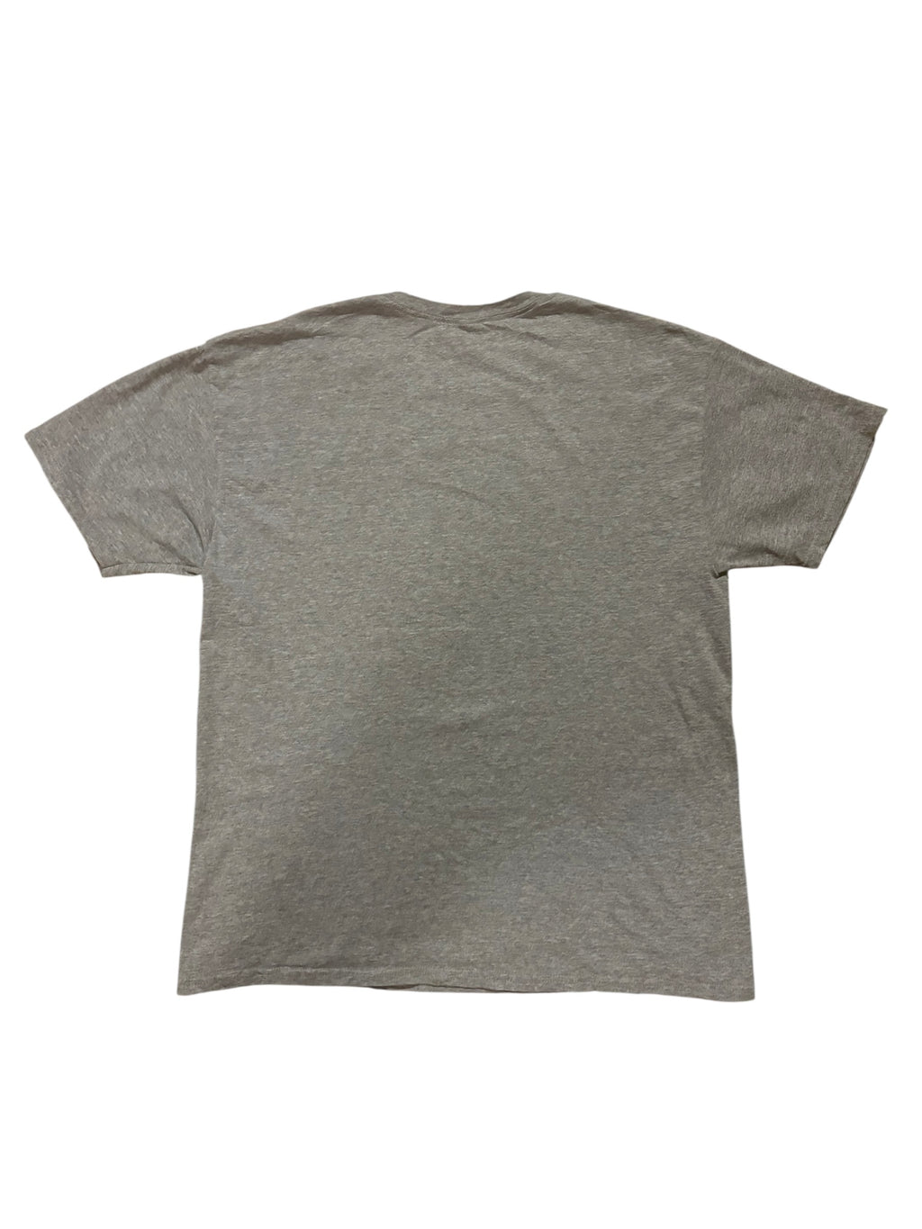 Fitness Tshirt | L
